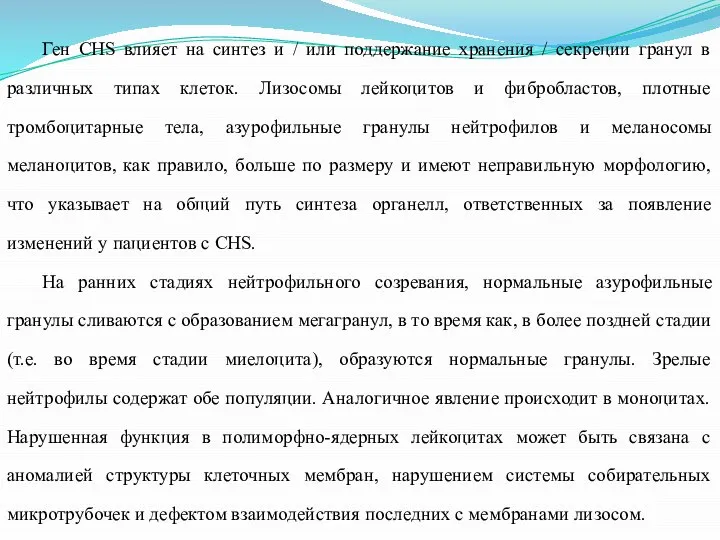 Ген CHS влияет на синтез и / или поддержание хранения / секреции