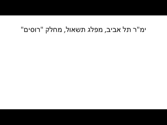 ימ"ר תל אביב, מפלג תשאול, מחלק "רוסים"