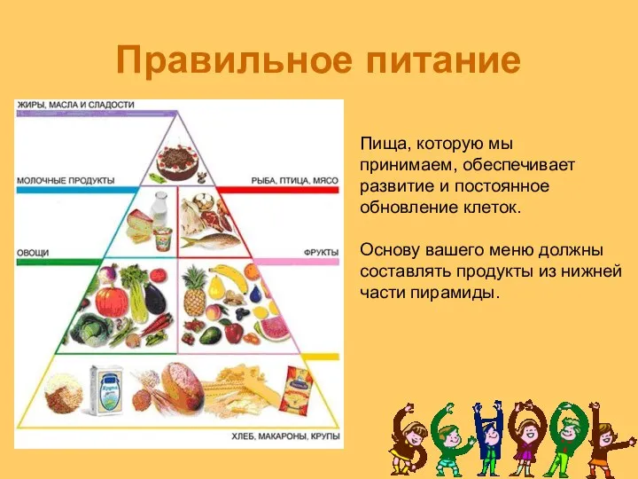 Правильное питание Пища, которую мы принимаем, обеспечивает развитие и постоянное обновление клеток.