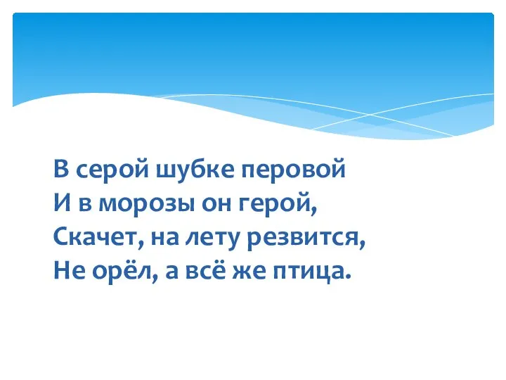 В серой шубке перовой И в морозы он герой, Скачет, на лету