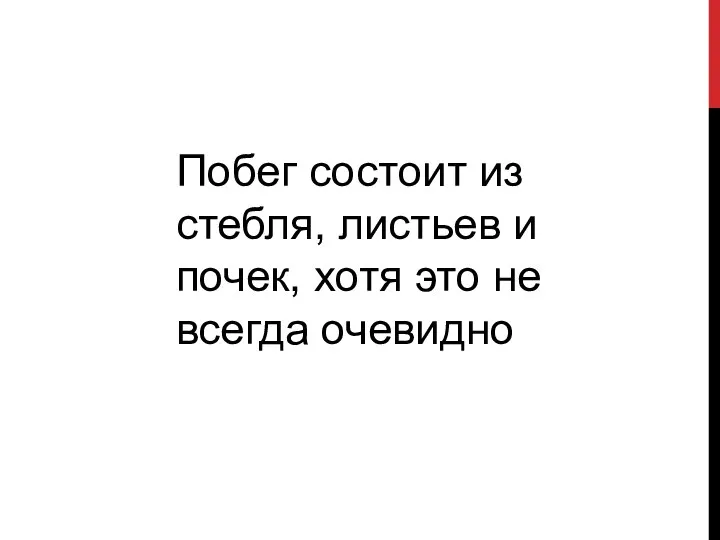 Побег состоит из стебля, листьев и почек, хотя это не всегда очевидно