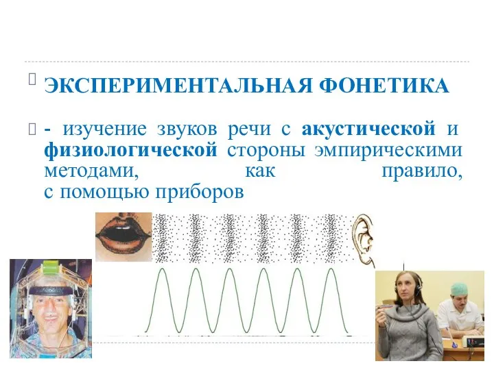 ЭКСПЕРИМЕНТАЛЬНАЯ ФОНЕТИКА - изучение звуков речи с акустической и физиологической стороны эмпирическими