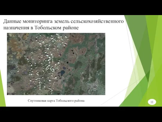 11 Данные мониторинга земель сельскохозяйственного назначения в Тобольском районе Спутниковая карта Тобольского района