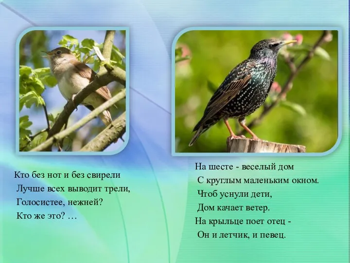 Кто без нот и без свирели Лучше всех выводит трели, Голосистее, нежней?