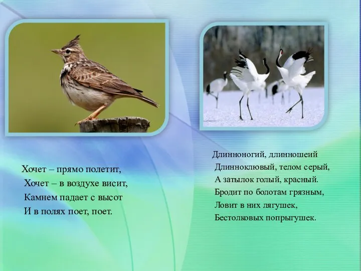 Хочет – прямо полетит, Хочет – в воздухе висит, Камнем падает с