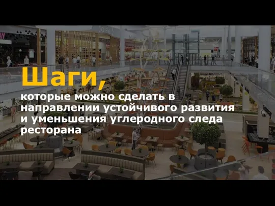 Шаги, которые можно сделать в направлении устойчивого развития и уменьшения углеродного следа ресторана