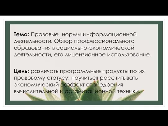 Тема: Правовые нормы информационной деятельности. Обзор профессионального образования в социально-экономической деятельности, его