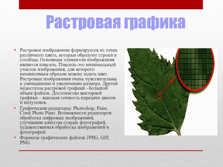 Растровая графика Растровое изображение формируется из точек различного цвета, которые образуют строки