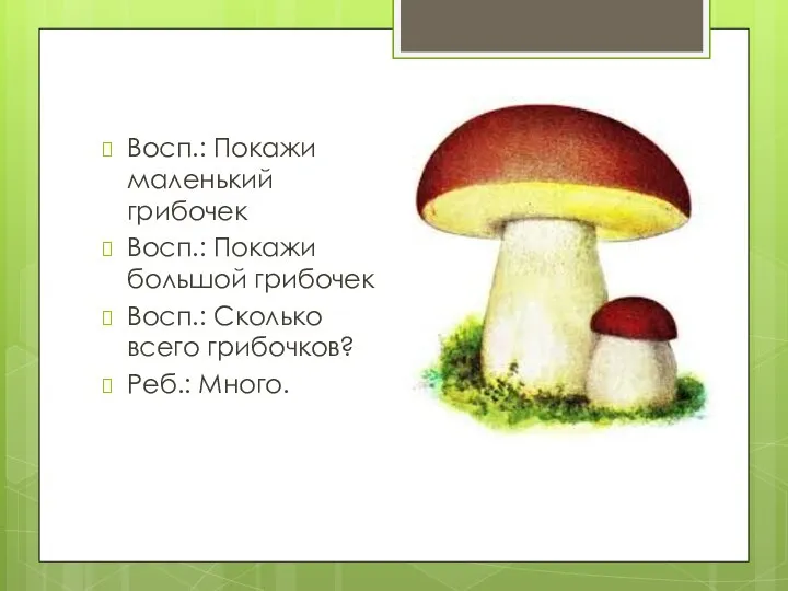Восп.: Покажи маленький грибочек Восп.: Покажи большой грибочек Восп.: Сколько всего грибочков? Реб.: Много.