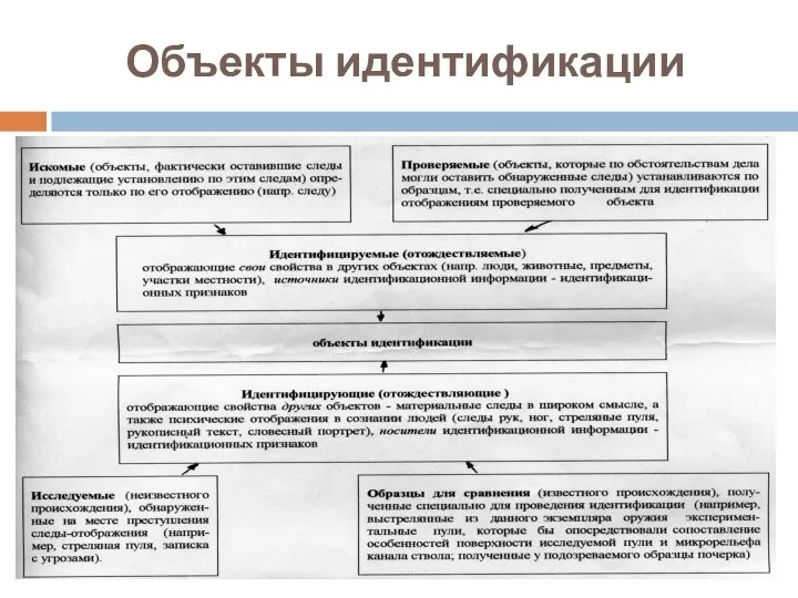 Объекты идентификации