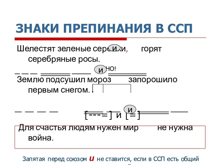 ЗНАКИ ПРЕПИНАНИЯ В ССП Шелестят зеленые сережки, горят серебряные росы. НО! Землю