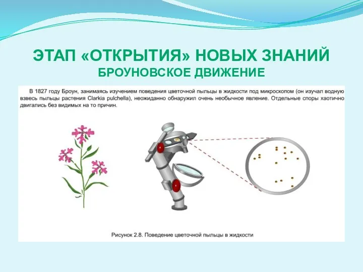 ЭТАП «ОТКРЫТИЯ» НОВЫХ ЗНАНИЙ БРОУНОВСКОЕ ДВИЖЕНИЕ