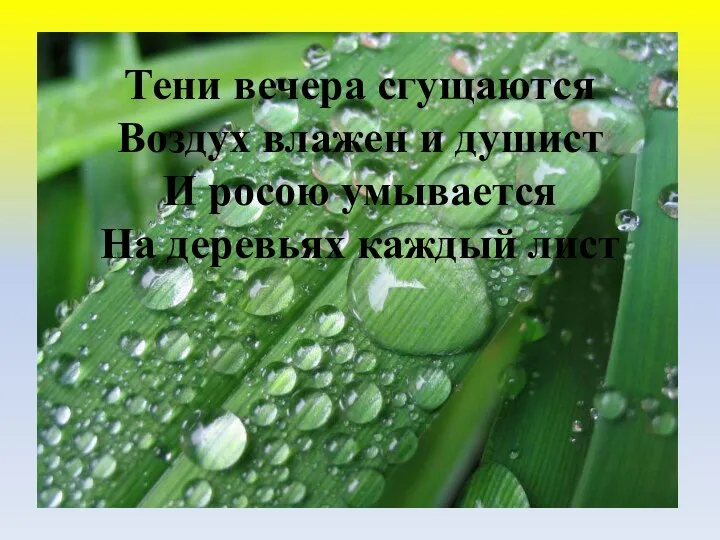 Тени вечера сгущаются Воздух влажен и душист И росою умывается На деревьях каждый лист