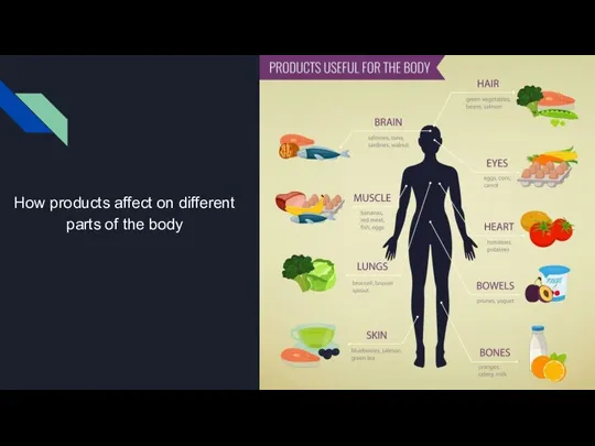 How products affect on different parts of the body