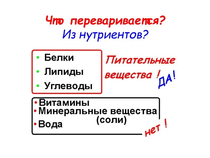 Что переваривается? Из нутриентов?