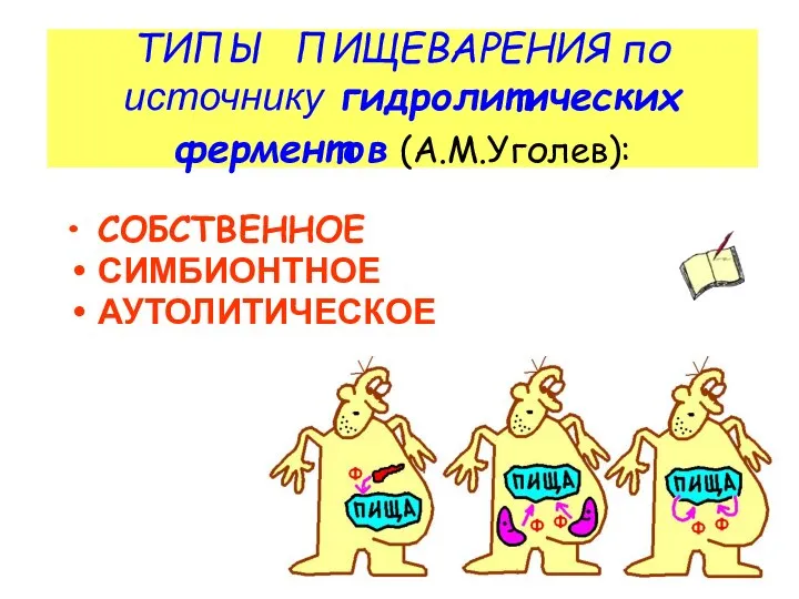 ТИПЫ ПИЩЕВАРЕНИЯ по источнику гидролитических ферментов (А.М.Уголев): СОБСТВЕННОЕ СИМБИОНТНОЕ АУТОЛИТИЧЕСКОЕ