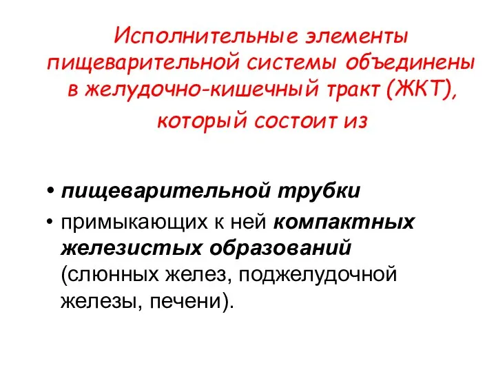 Исполнительные элементы пищеварительной системы объединены в желудочно-кишечный тракт (ЖКТ), который состоит из