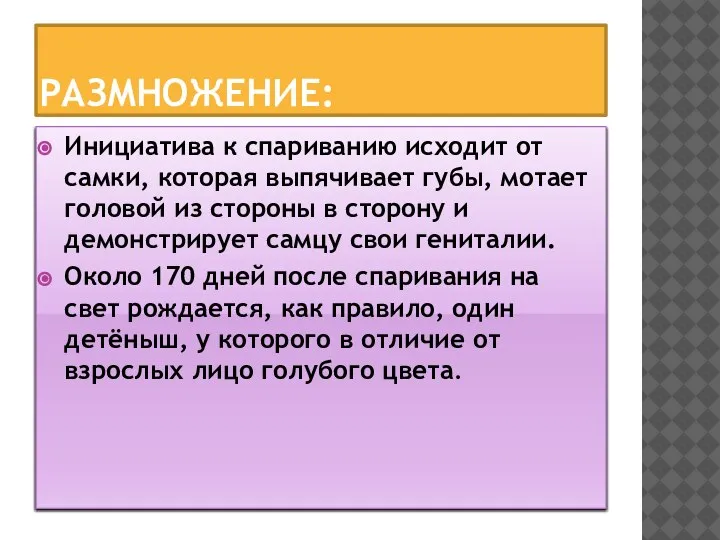 РАЗМНОЖЕНИЕ: Инициатива к спариванию исходит от самки, которая выпячивает губы, мотает головой