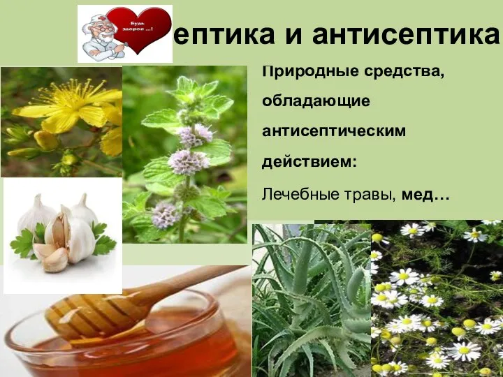 Природные средства, обладающие антисептическим действием: Лечебные травы, мед… Асептика и антисептика