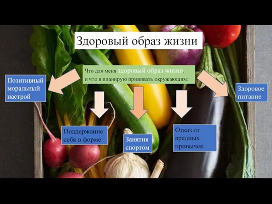 Здоровый образ жизни Здоровое питание Отказ от вредных привычек Занятия спортом Поддержание