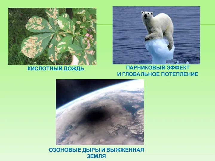 КИСЛОТНЫЙ ДОЖДЬ ПАРНИКОВЫЙ ЭФФЕКТ И ГЛОБАЛЬНОЕ ПОТЕПЛЕНИЕ ОЗОНОВЫЕ ДЫРЫ И ВЫЖЖЕННАЯ ЗЕМЛЯ