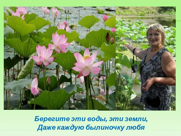 Берегите эти воды, эти земли, Даже каждую былиночку любя