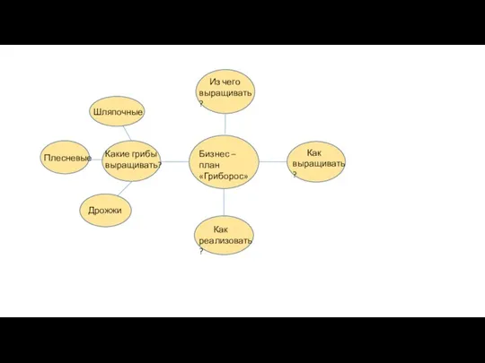 Бизнес – план «Гриборос» Из чего выращивать? Как выращивать? Как реализовать? Какие