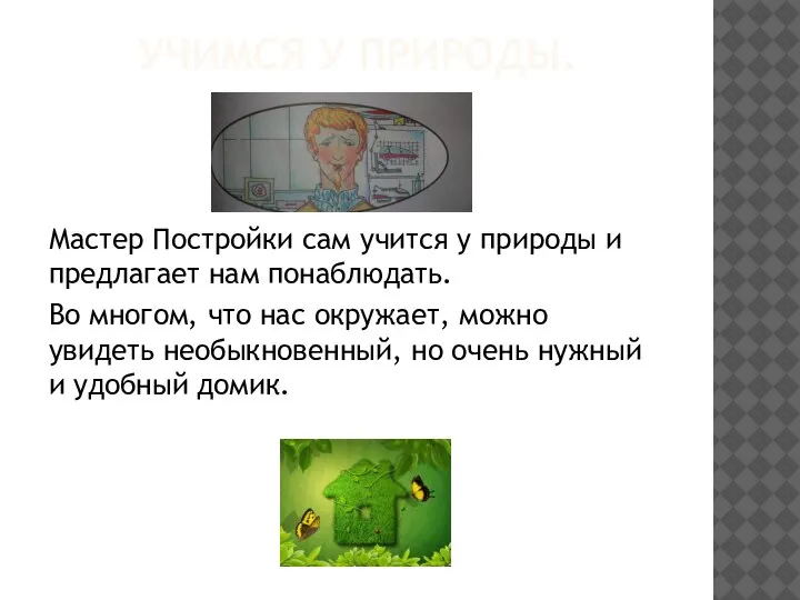 УЧИМСЯ У ПРИРОДЫ. Мастер Постройки сам учится у природы и предлагает нам