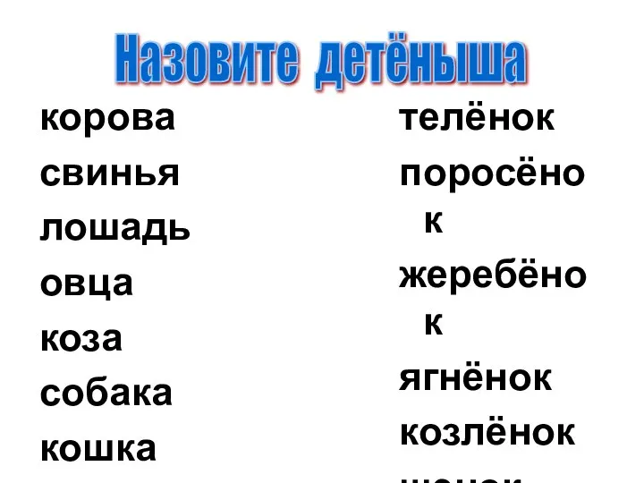 корова свинья лошадь овца коза собака кошка телёнок поросёнок жеребёнок ягнёнок козлёнок щенок котёнок Назовите детёныша