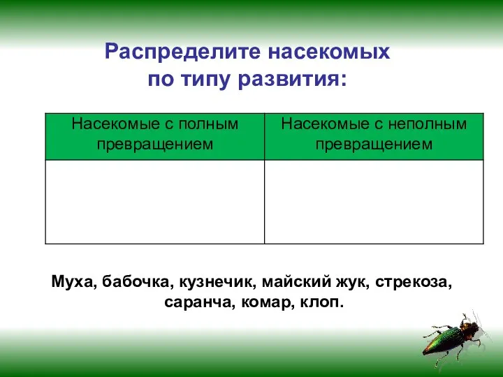 Распределите насекомых по типу развития: Муха, бабочка, кузнечик, майский жук, стрекоза, саранча, комар, клоп.