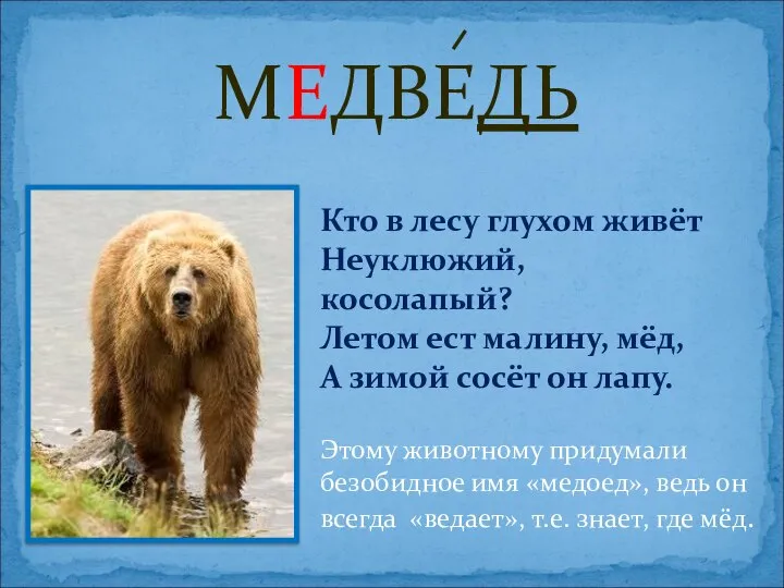 МЕДВЕДЬ Этому животному придумали безобидное имя «медоед», ведь он всегда «ведает», т.е.