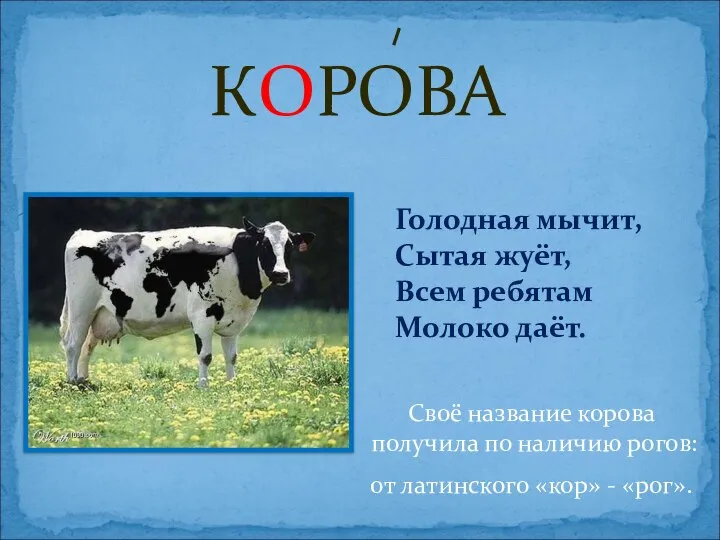 КОРОВА Своё название корова получила по наличию рогов: от латинского «кор» -