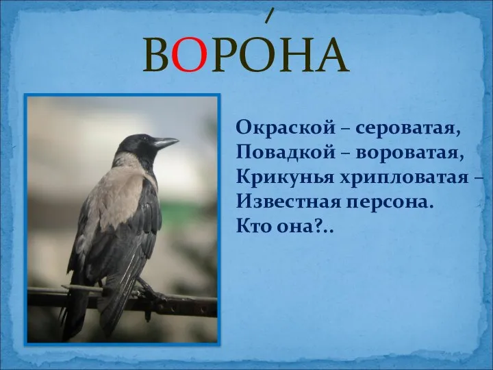 ВОРОНА Окраской – сероватая, Повадкой – вороватая, Крикунья хрипловатая – Известная персона. Кто она?..