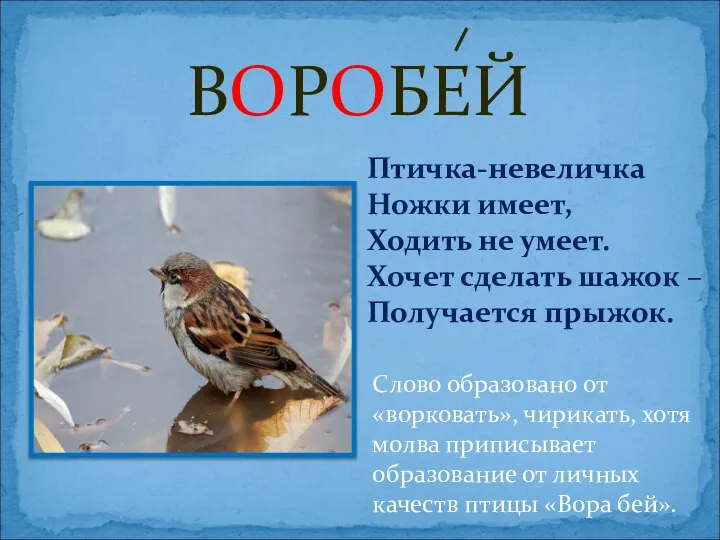 ВОРОБЕЙ Слово образовано от «ворковать», чирикать, хотя молва приписывает образование от личных