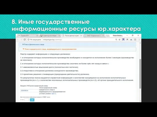 8. Иные государственные информационные ресурсы юр.характера