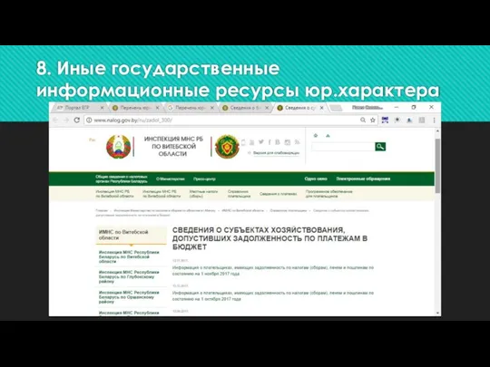 8. Иные государственные информационные ресурсы юр.характера