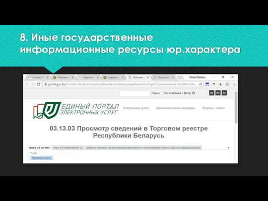 8. Иные государственные информационные ресурсы юр.характера