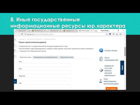 8. Иные государственные информационные ресурсы юр.характера