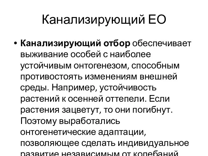 Канализирующий ЕО Канализирующий отбор обеспечивает выживание особей с наиболее устойчивым онтогенезом, способным