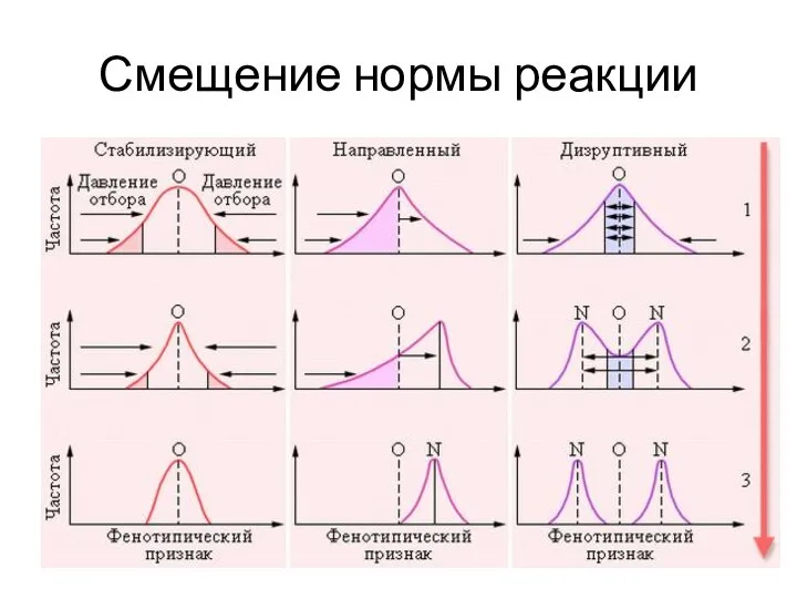 Смещение нормы реакции