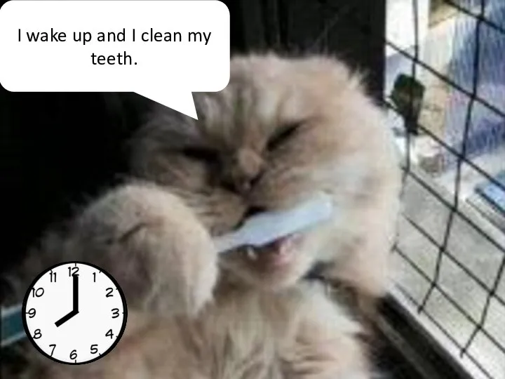 I wake up and I clean my teeth.