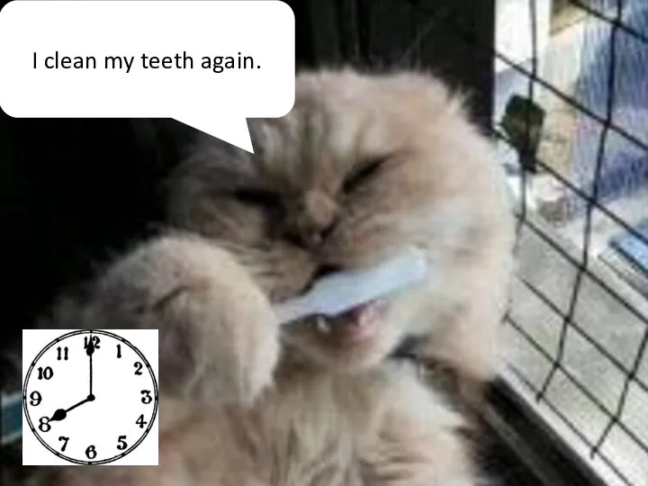 I clean my teeth again.