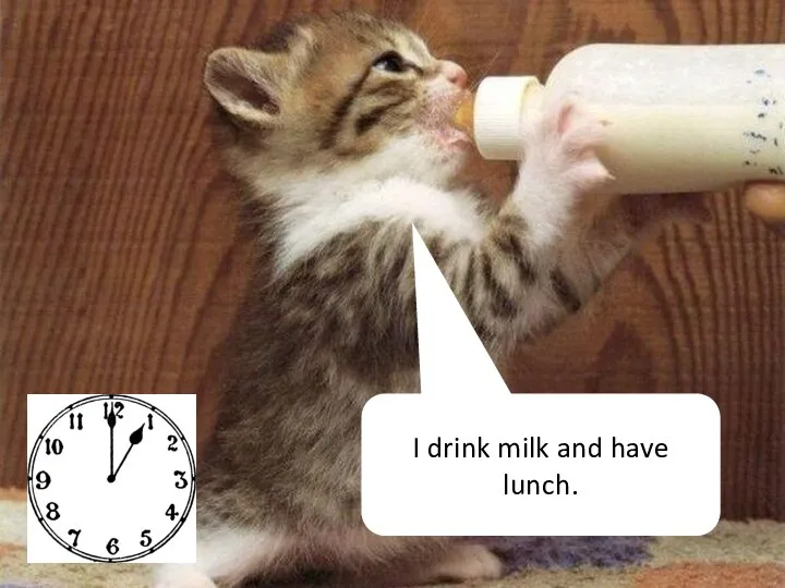 I drink milk and have lunch.