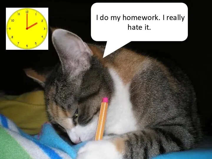 I do my homework. I really hate it.