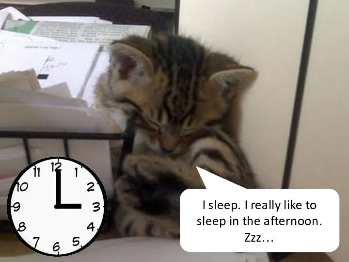 I sleep. I really like to sleep in the afternoon. Zzz…