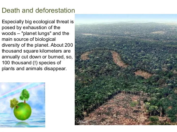 Death and deforestation Especially big ecological threat is posed by exhaustion of