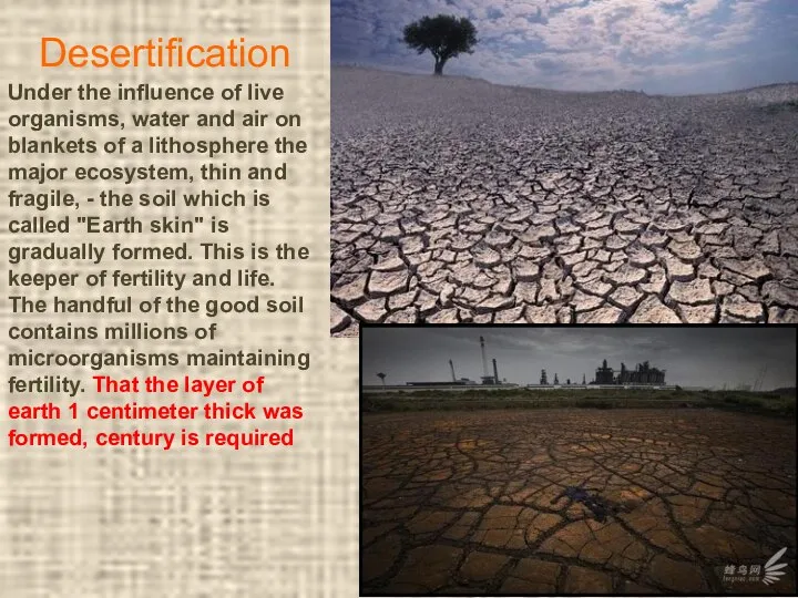 Desertification Under the influence of live organisms, water and air on blankets