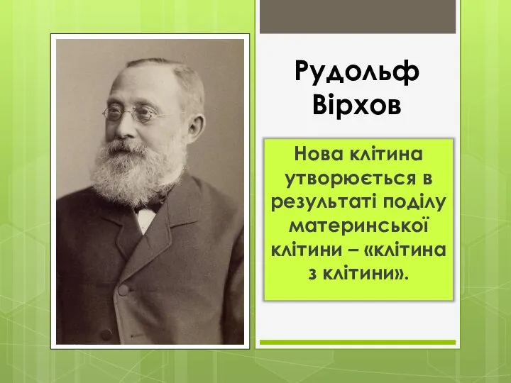 Рудольф Вірхов Нова клітина утворюється в результаті поділу материнської клітини – «клітина з клітини».