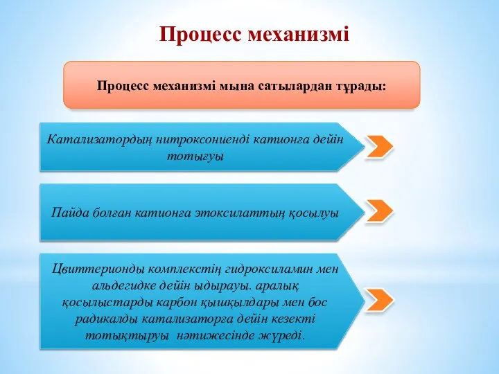 Процесс механизмі мына сатылардан тұрады: Катализатордың нитроксониенді катионға дейін тотығуы Пайда болған