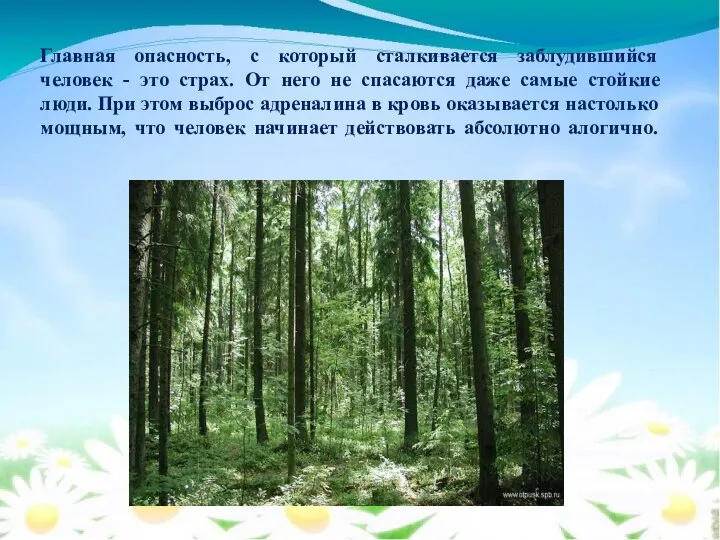 Главная опасность, с который сталкивается заблудившийся человек - это страх. От него